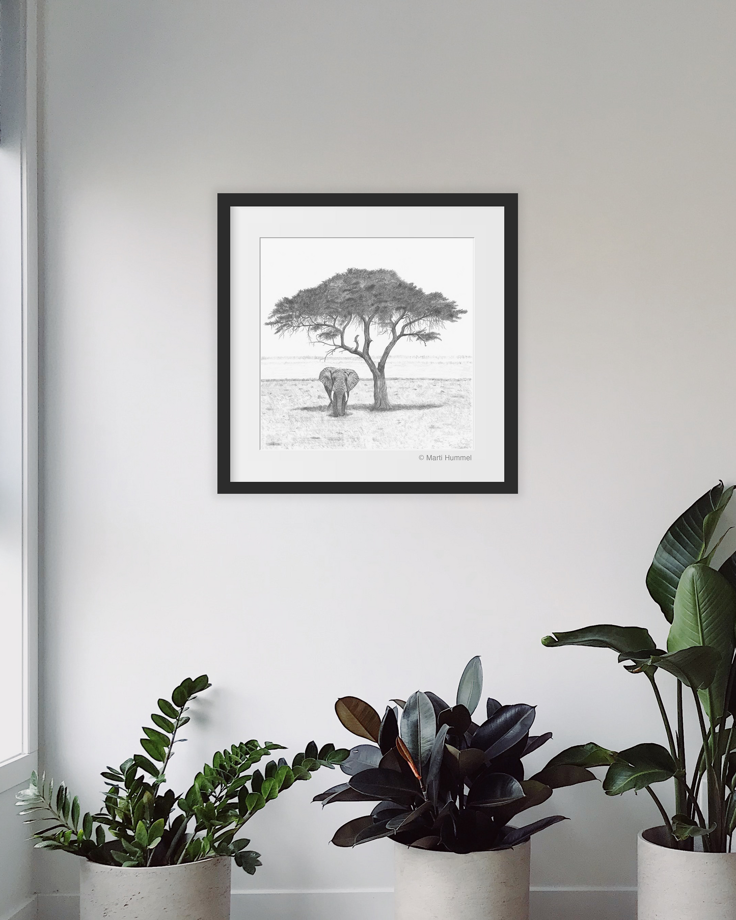 Akacia Tree with Elephant Sketch