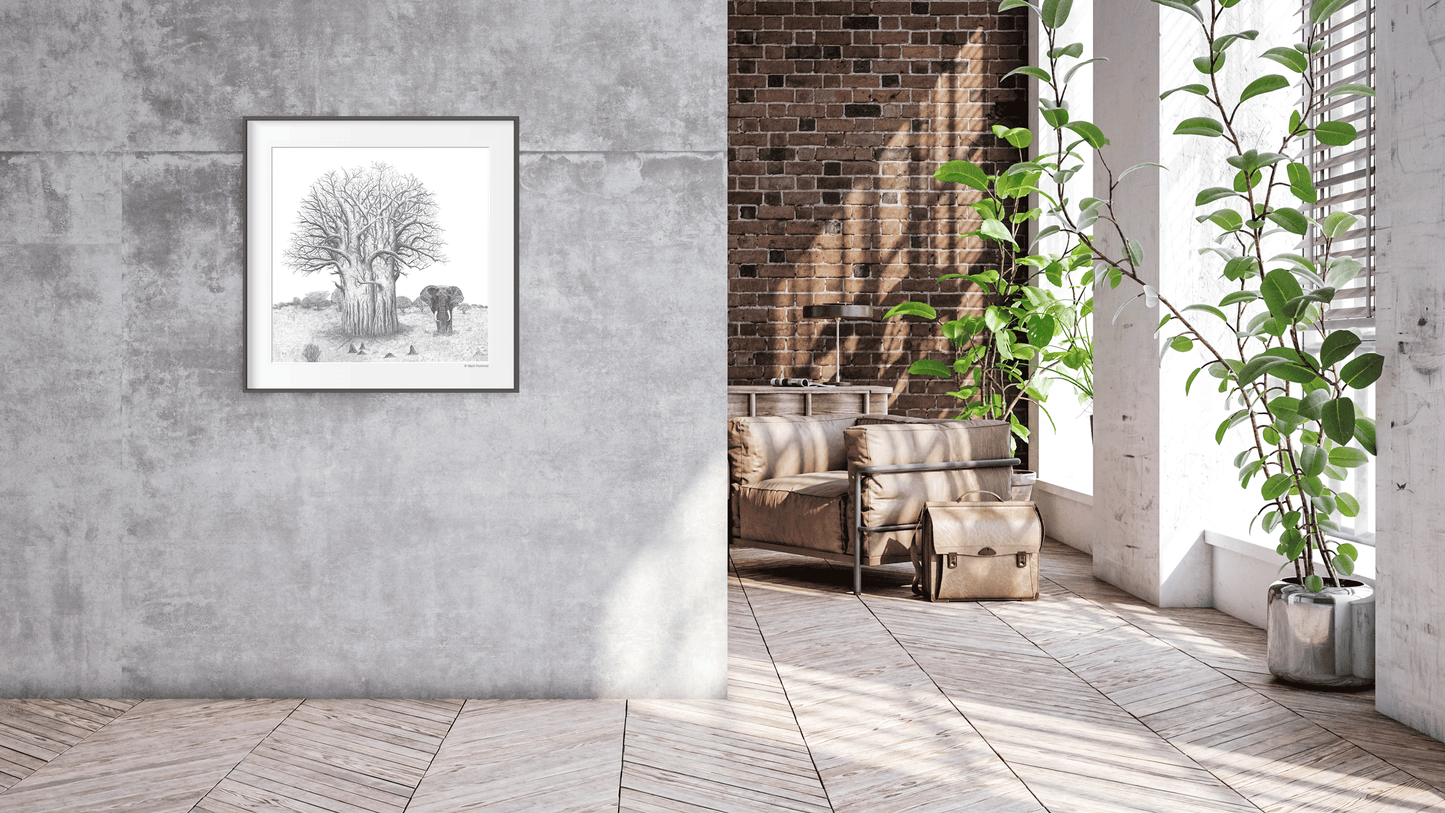 Baobab Tree with Elephant Sketch