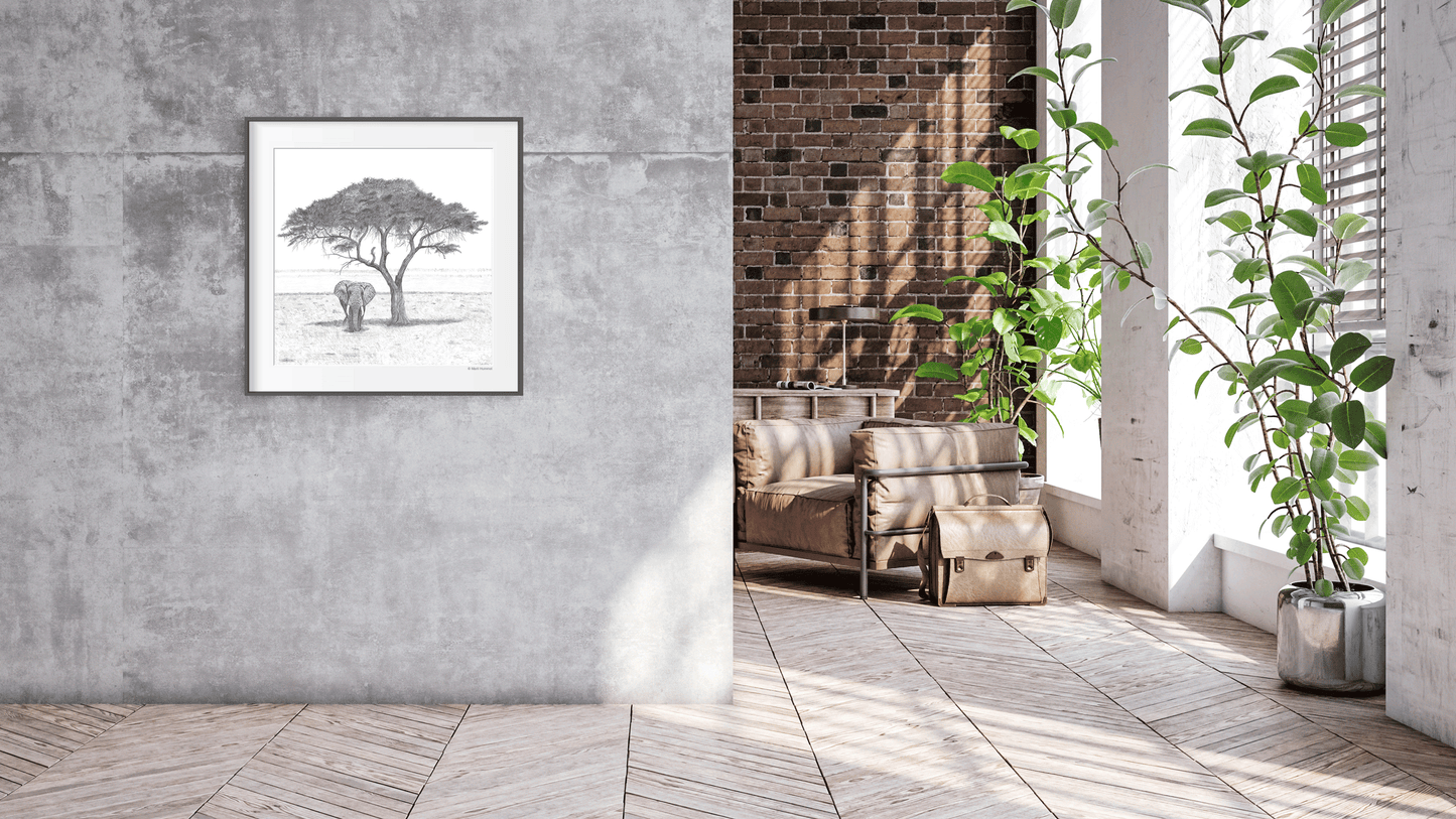 Akacia Tree with Elephant Sketch