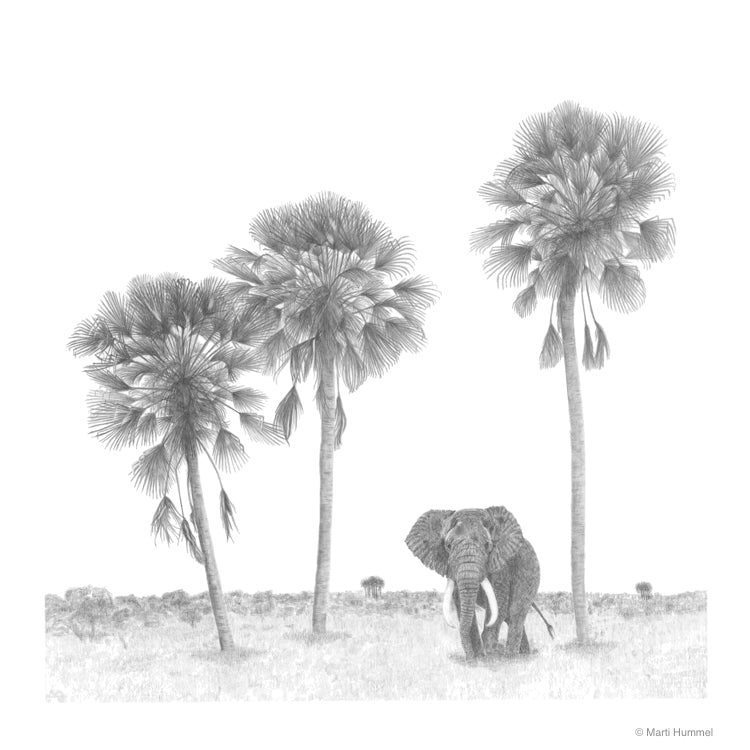 Lala Palm Trees with Elephant Sketch