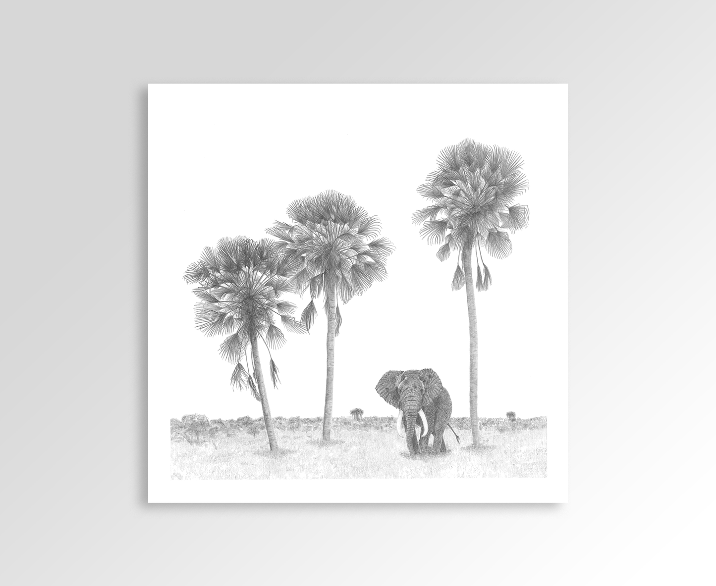 Lala Palm Trees with Elephant Sketch